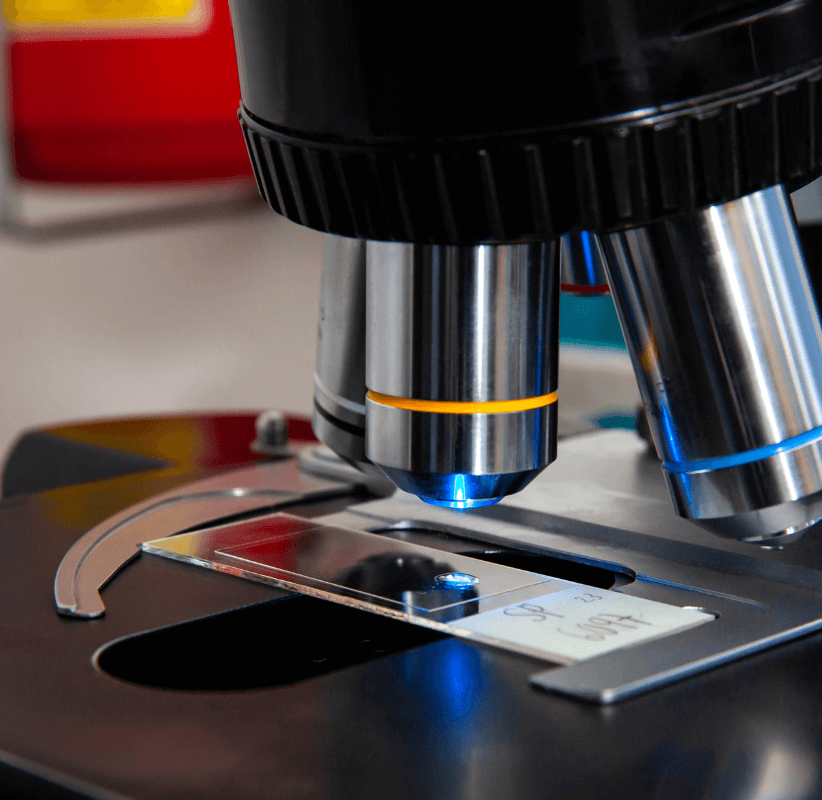Microscopio óptico con cuatro lentes de objetivo diferentes